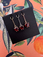 Load image into Gallery viewer, Roja