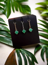 Load image into Gallery viewer, Dinero
